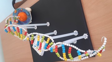 Przestrzenny model DNA w wykonaniu uczniów z klas 8